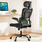 Marsail Ergonomic Office Chair with Adjustable Lumbar Support, High Back Desk Chair with 2D Headrest & Flip-Up Armrests Gaming Computer Task Chair Tilt Function Black